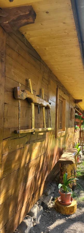Breb 335 Accomodation & Garden Exterior foto